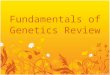 Fundamentals of Genetics Review. Definitions 100 The field of Biology devoted to understanding how characteristics are transmitted from parents to offspring