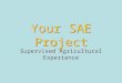 Your SAE Project Supervised Agricultural Experience