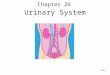 26-1 Chapter 26 Urinary System. 26-2 I. Functions of the Urinary System A. Filtering of blood: involves three processes- filtration, reabsorption, secretion
