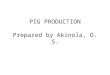 PIG PRODUCTION Prepared by Akinola, O. S.. INTRODUCTION The pig is one of the oldest domesticated animals Majority of the breeds we now know are descended