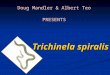 Trichinela spiralis Doug Mandler & Albert Teo PRESENTS