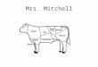Mrs. Mitchell. Beef Primal Cuts Beef-Brisket-Whole Brisket (B-2- 11)