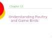 1 Chapter 12 Understanding Poultry and Game Birds