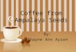 Coffee from Ampalaya Seeds By: Shayne Ann Ayson. What was the study all about?