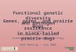 Functional genetic diversity and pathogen resistance in black-tailed prairie dogs Liz Harp Colorado State University Graduate Degree Program in Ecology