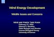 Wind Energy Development Wildlife Issues and Concerns Wind and Prairie Task Force February 27, 2004 Edward A. Martinko State Biologist and Director Kansas