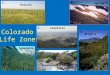 Colorado Life Zones 1. 2. 3. 4. 6. 5. Prairie Alpine Foothills Subalpine Montane Riparian