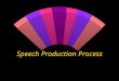Speech Production Process 4 Processes in Speech Production w Respiration w Phonation w Resonance w Articulation
