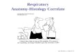 Respiratory Anatomy-Histology Correlate By: Michael Lu, Class of ‘07
