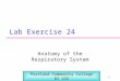 1 Lab Exercise 24 Anatomy of the Respiratory System Portland Community College BI 233
