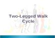 12 Principle of Animation Two-Legged Walk Cycle. 12 Principle of Animation A walk is the first thing to learn to learn walk of all kinds cause walks are