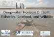 Deepwater Horizon Oil Spill, Fisheries, Seafood, and Wildlife