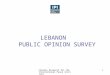 Charney Research for the International Peace Institute 1 LEBANON PUBLIC OPINION SURVEY