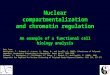 Cavalli Lab Nuclear compartmentalization and chromatin regulation An example of a functional cell biology analysis Data from: Bantignies, F., Grimaud,