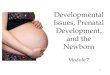 1 Developmental Issues, Prenatal Development, and the Newborn Module 7