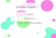 Chapter 6 and 7 Labor Delivery The first few days