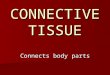CONNECTIVE TISSUE Connects body parts. Most abundant tissue type Most abundant tissue type Widely spread Widely spread Made up of many types of cells