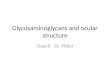 Glycosaminoglycans and ocular structure Class 8 Dr. Pittler