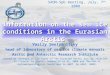 1 Information on the sea ice conditions in the Eurasian Arctic Vasily Smolyanitsky head of laboratory of sea ice climate manuals Arctic and Antarctic Research