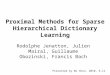 Proximal Methods for Sparse Hierarchical Dictionary Learning Rodolphe Jenatton, Julien Mairal, Guillaume Obozinski, Francis Bach Presented by Bo Chen,