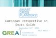 European Perspective on Smart Grids September 18 th 2014 Tech Watch – Claremorris Heidi Lenaerts