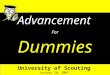 Advancement For Dummies University of Scouting January 20, 2007