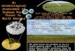 An Aerobiological Assessment of Soybean Rust Threat to North America Scott Isard (UI) & Roger Magarey, Bob Griffin (CPHST/APHIS) Joe Russo (ZedX) & Stuart