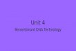 Unit 4 Recombinant DNA Technology. Lesson 1 – Recombinant DNA Isolating and Ligating DNA Lecture – Isolating and Ligating DNA Activity – Clone a paper
