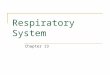 Respiratory System Chapter 13. Upper Respiratory Tract Lower Respiratory Tract