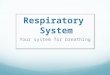 Respiratory System Your system for breathing. Nose
