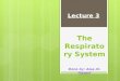 The Respiratory System Lecture 3 Done by: Alaa Al-Hasani