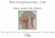 NursingJourney.com Quiz over the Brain © 2005 This quiz will use close-up sections of the above model
