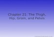 © 2009 McGraw-Hill Higher Education. All rights reserved. Chapter 21: The Thigh, Hip, Groin, and Pelvis