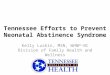Tennessee Efforts to Prevent Neonatal Abstinence Syndrome Kelly Luskin, MSN, WHNP-BC Division of Family Health and Wellness