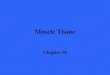 Muscle Tissue Chapter 10. Overview of Muscle Tissue n There are three types of muscle tissue –Skeletal muscle –Cardiac muscle –Smooth muscle n These muscle