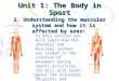 Unit 1: The Body in Sport 2. Understanding the muscular system and how it is affected by exercise In this section you will learn how the skeletal and muscular