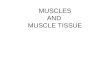 MUSCLES AND MUSCLE TISSUE. Muscles The most distinguishing functional characteristic of muscles is their ability to transform chemical energy (ATP) into