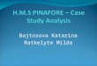 Bajtosova Katarina Ratkelyte Milda. Presentation Overview Main objectives and deliverables Main activities based on the case study analysis Network diagram