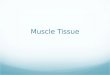 Muscle Tissue. Types of Muscle Tissue Skeletal muscle tissue Cardiac muscle tissue Autorhythmicity - pacemaker Smooth muscle tissue