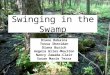 Swinging in the Swamp Diane Robaina Tessa Sheridan Diana Burich Angela Giles-Moulton Nancy Zawada-Clair Susan Marie Terra