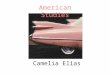 Camelia Elias American Studies. Post civil-war writing subjectivity of the spirit vs subjectivity of reality the focus was on describing ‘life as it is’