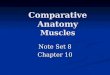 Comparative Anatomy Muscles Note Set 8 Chapter 10