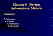 Chapter 9 - Phylum Apicomplexa: Malaria Taxonomy P. Apicomplexa C. Coccidia O. Haemosporida G. Plasmodium