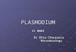 PLASMODIUM II MBBS Dr Ekta Chourasia Microbiology