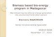 Biomass based bio-energy program in Madagascar Mainstreaming bio ethanol energy generation into environment and other sectors Bienvenu RAJAONSON Senior