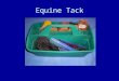 Equine Tack. Washing supplies Purpose: to remove sweat, dirt, mud, etc. from the horse’s body. Use all over, take care around the face and ears
