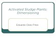Activated Sludge Plants: Dimensioning Eduardo Cleto Pires