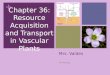 + Mrs. Valdes AP Biology Chapter 36: Resource Acquisition and Transport in Vascular Plants