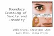 Chin Chang, Christina Chen Zaes Chen, Linda Chien Boundary Crossing of Sanity and Insanity