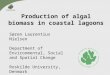 Production of algal biomass in coastal lagoons Søren Laurentius Nielsen Department of Environmental, Social and Spatial Change Roskilde University, Denmark